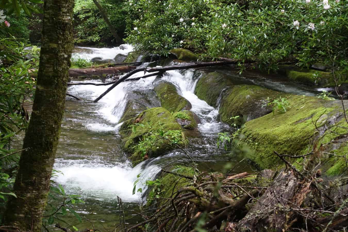 Pleasant Creek Trail, Hiking