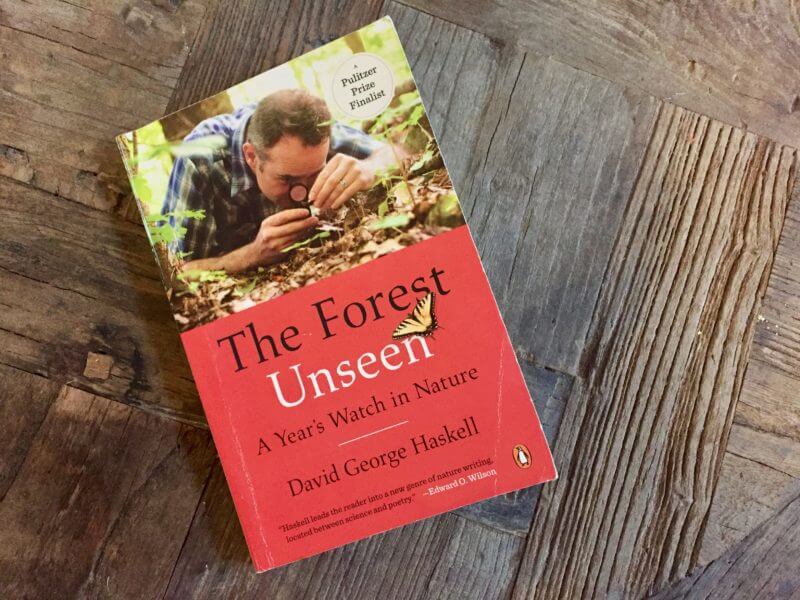 Book Review: The Forest Unseen: A Year's Watch in Nature by David ...